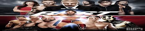 World Wrestling Entertainment: Best For Business