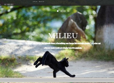 Milieu